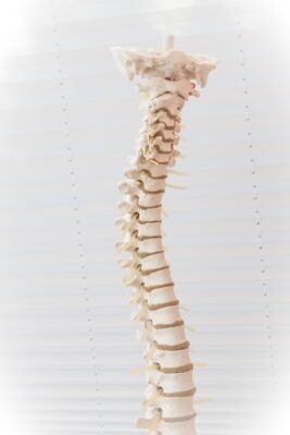 Die Osteopathie und Chiropraktik
